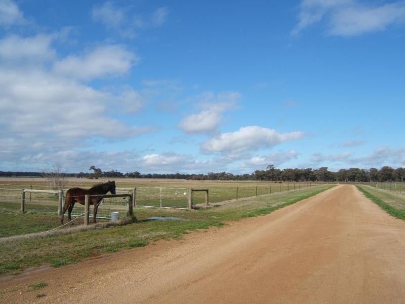 564 Marong  Serpentine Road, Leichardt VIC 3516