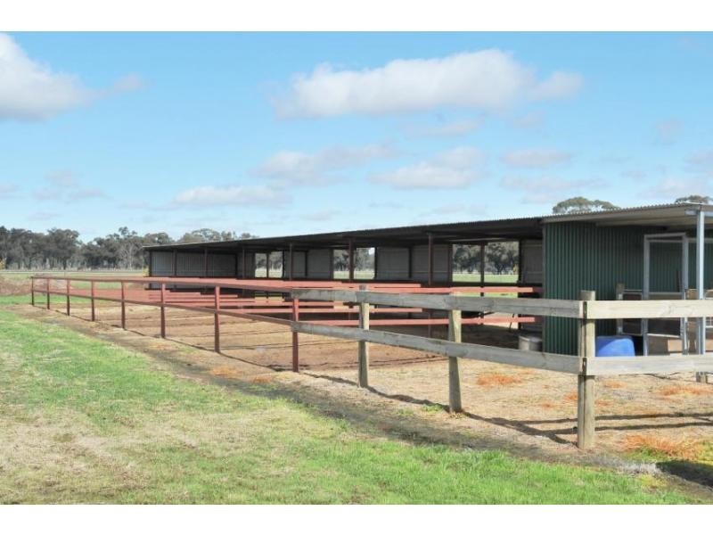 564 Marong  Serpentine Road, Leichardt VIC 3516