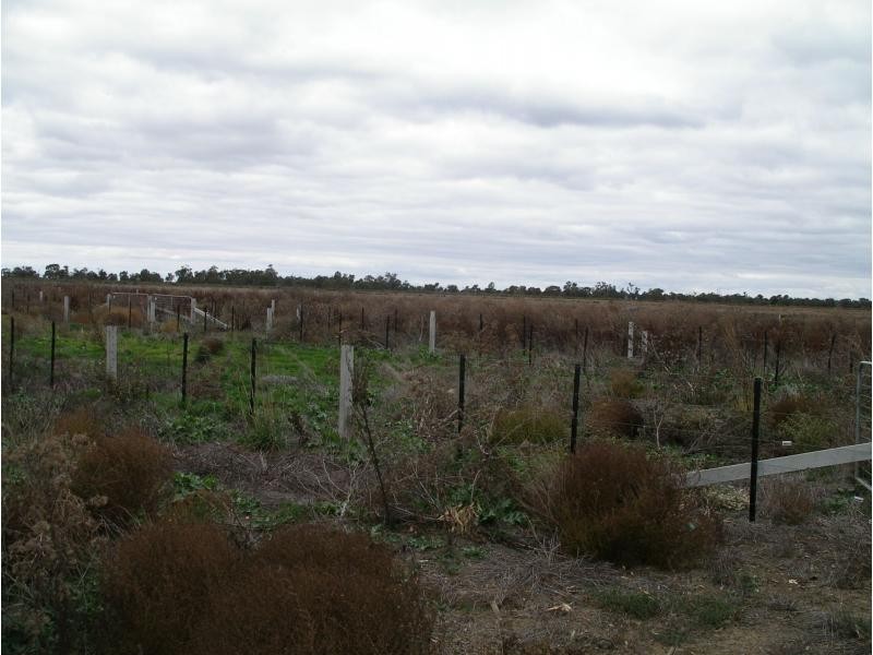 1229 Appin South Road, Kerang VIC 3579