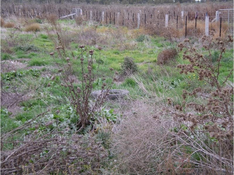 1229 Appin South Road, Kerang VIC 3579