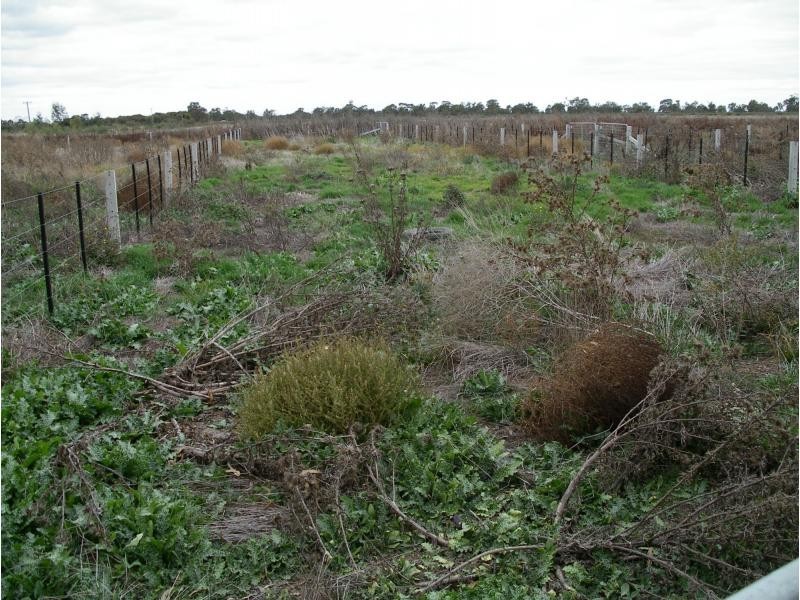 1229 Appin South Road, Kerang VIC 3579