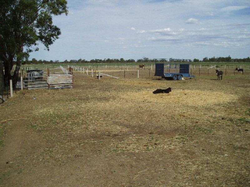 1229 Appin South Road, Kerang VIC 3579