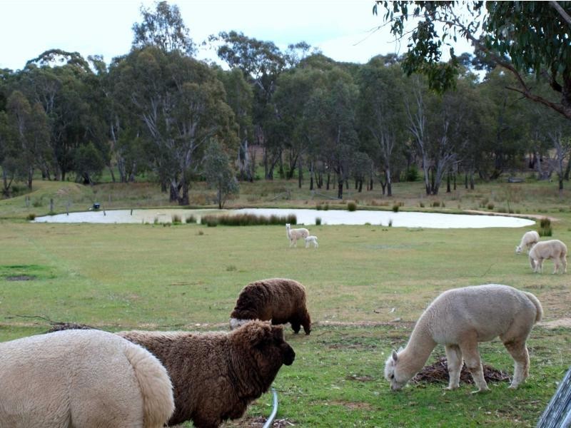 4470 McIvor Highway, Heathcote VIC 3523