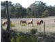 Lot 1 Hamiltons Road, Borung VIC 3518