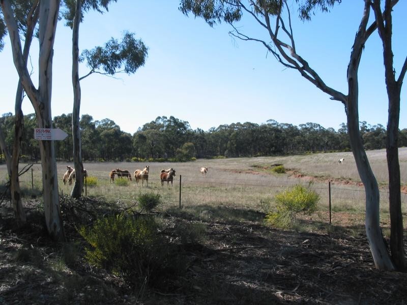 Lot 1 Hamiltons Road, Borung VIC 3518