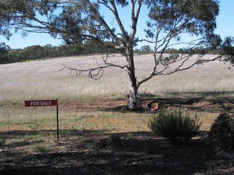 Lot 1 Hamiltons Road, Borung VIC 3518