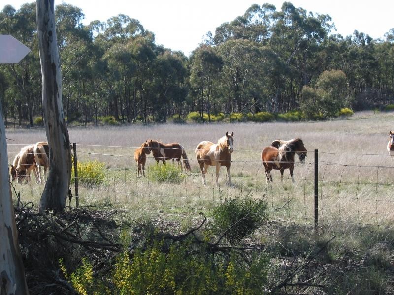 Lot 1 Hamiltons Road, Borung VIC 3518