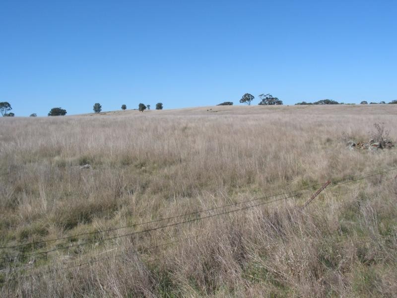 Lot 2 Hamiltons Road/Wychitella Borung Road, Borung VIC 3518