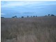 Lot 2 Hamiltons Road/Wychitella Borung Road, Borung VIC 3518