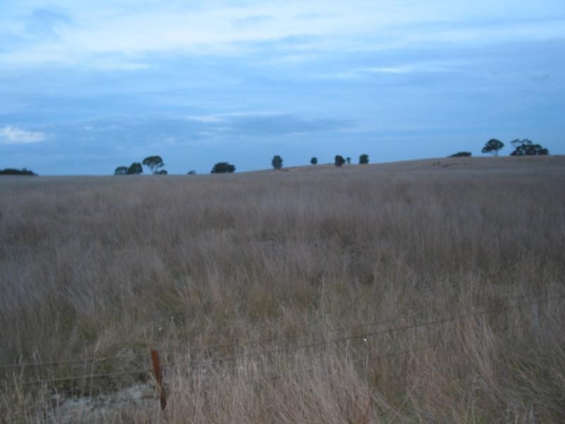 Lot 2 Hamiltons Road/Wychitella Borung Road, Borung VIC 3518