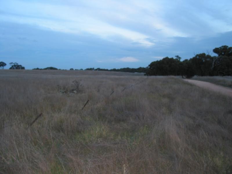 Lot 2 Hamiltons Road/Wychitella Borung Road, Borung VIC 3518