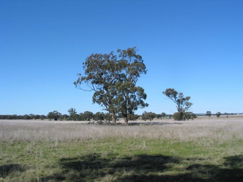 Lot 1 Korong Vale-Wychitella Road, Woolshed Flat VIC 3518