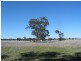 Lot 1 Korong Vale-Wychitella Road, Woolshed Flat VIC 3518