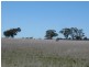 Lot 1 Korong Vale-Wychitella Road, Woolshed Flat VIC 3518