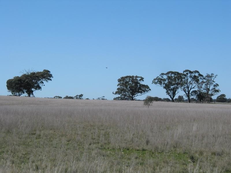 Lot 1 Korong Vale-Wychitella Road, Woolshed Flat VIC 3518