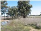 Lot 1 Korong Vale-Wychitella Road, Woolshed Flat VIC 3518