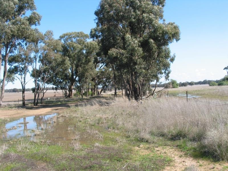Lot 1 Korong Vale-Wychitella Road, Woolshed Flat VIC 3518