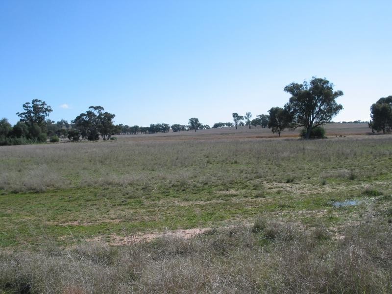 Lot 1 Korong Vale-Wychitella Road, Woolshed Flat VIC 3518