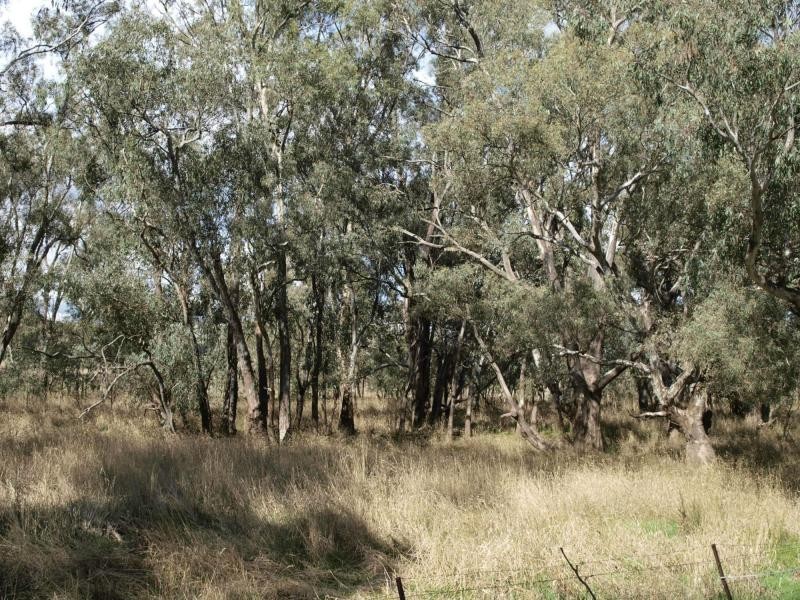 2230 Northern Highway, Toolleen VIC 3551