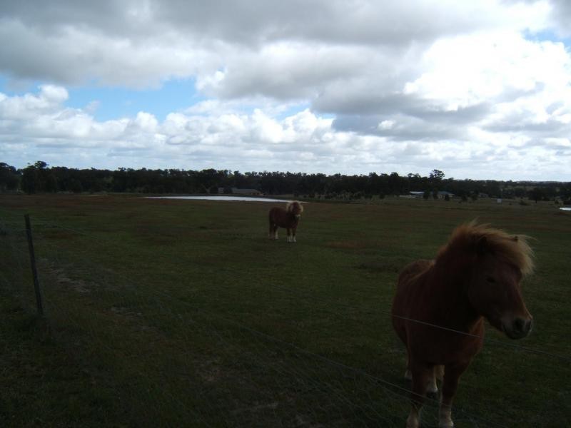 354 Wild Cherry Road, Lockwood South VIC 3551