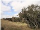 Lot 4, 493 Heathcote Redesdale Road, Heathcote VIC 3523