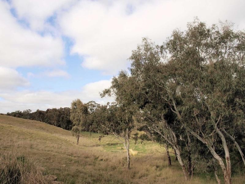 Lot 4, 493 Heathcote Redesdale Road, Heathcote VIC 3523