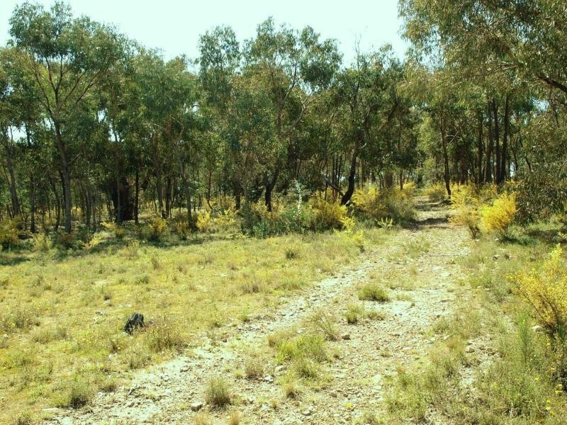 43 Codes Lane, Heathcote VIC 3523