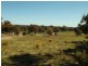 43 Codes Lane, Heathcote VIC 3523