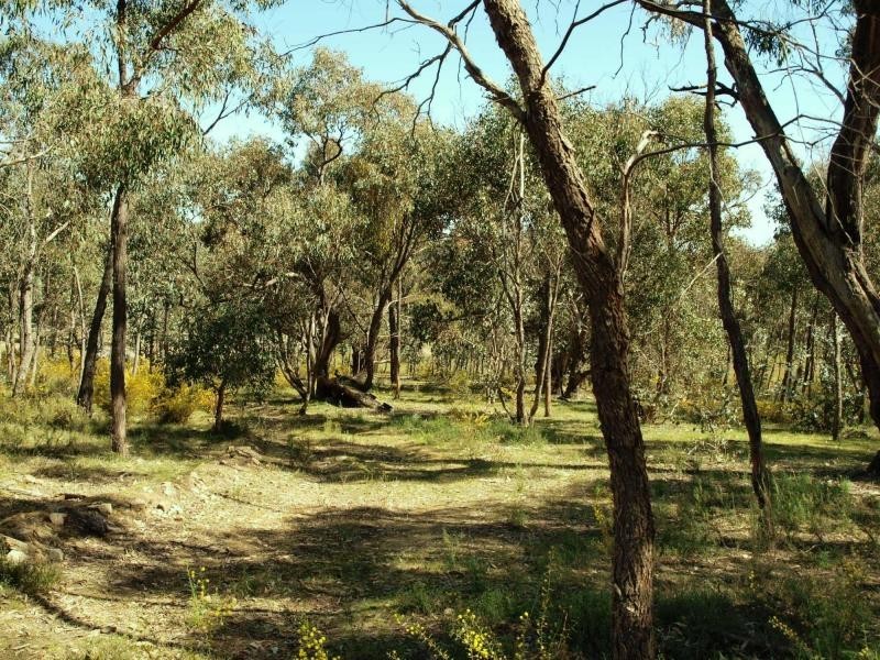 43 Codes Lane, Heathcote VIC 3523