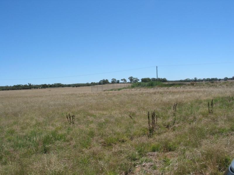 L1, 2 & 3 Butts Road, Korong Vale VIC 3520