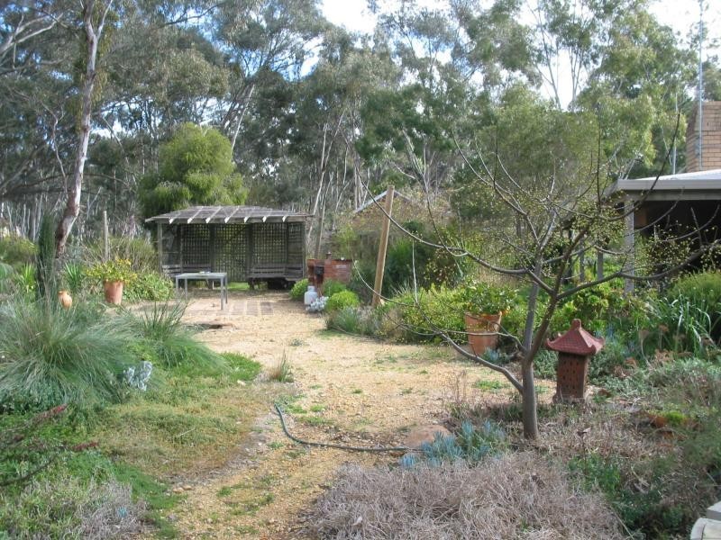 37 St Arnaud Road, Wedderburn VIC 3518