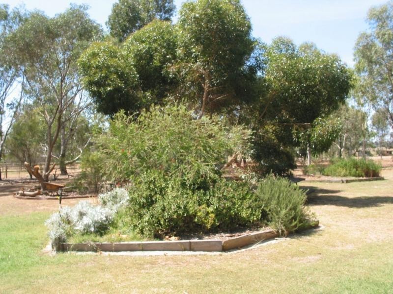 6 Memsie Street, Bridgewater VIC 3516