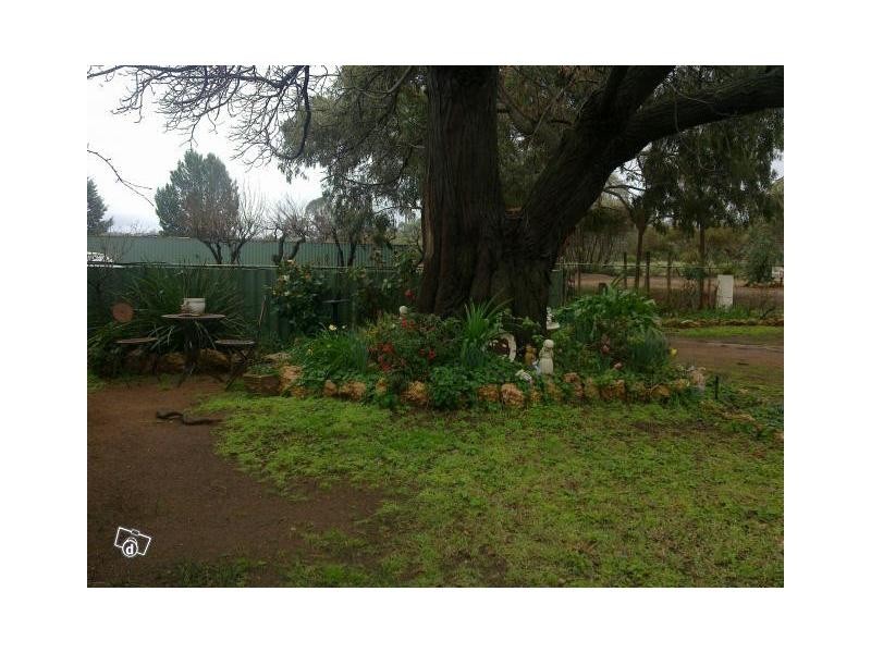 8780b Murray Valley Highway, Boundary Bend VIC 3599