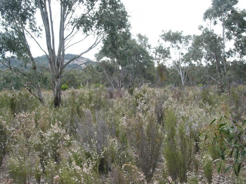 201 Old Kingower Road, Kurting VIC 3517