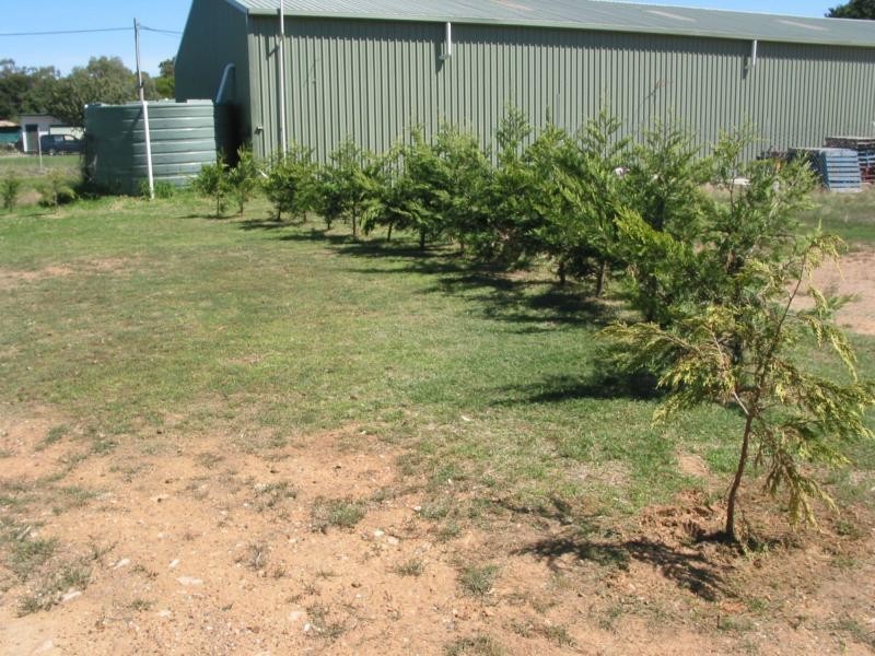 133 High Street, Wedderburn VIC 3518