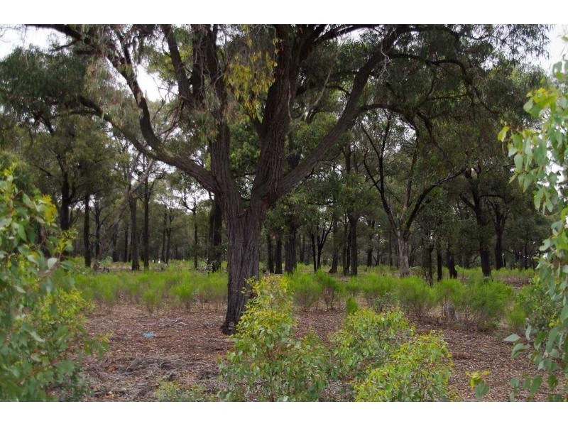 21c Tunnecliffs Lane, Heathcote VIC 3523