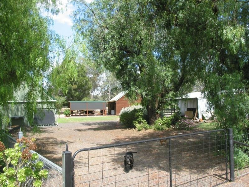 31 Chapel Street, Serpentine VIC 3517