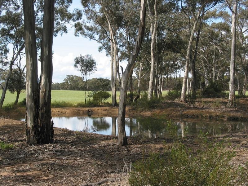 14 Llanelly Road, Llanelly VIC 3551