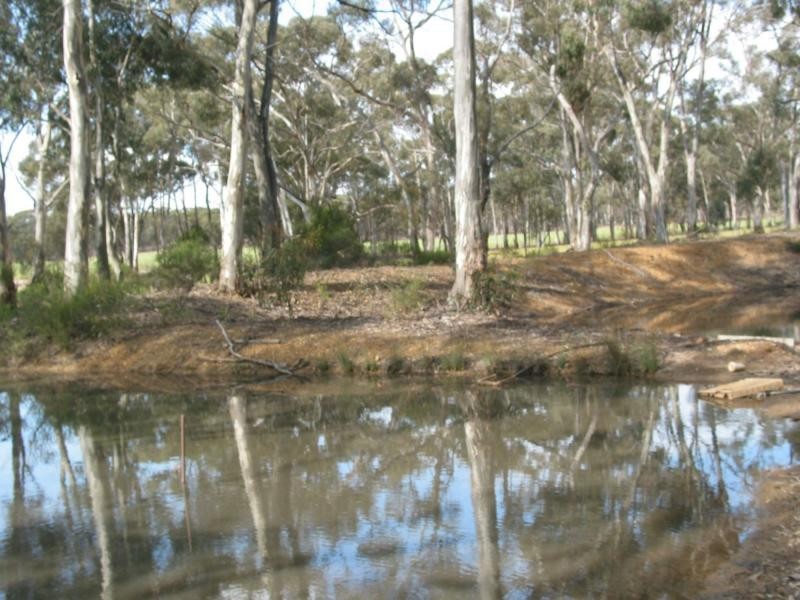 14 Llanelly Road, Llanelly VIC 3551