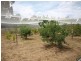 205 Youngs Lane, Heathcote VIC 3523