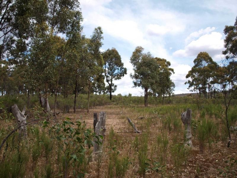 205 Youngs Lane, Heathcote VIC 3523