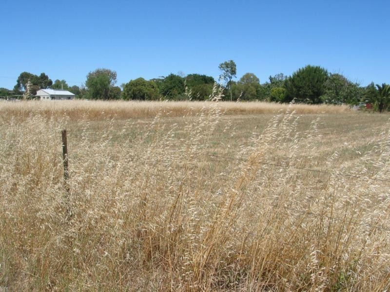 Lot 9 Burke Street, Newbridge VIC 3551