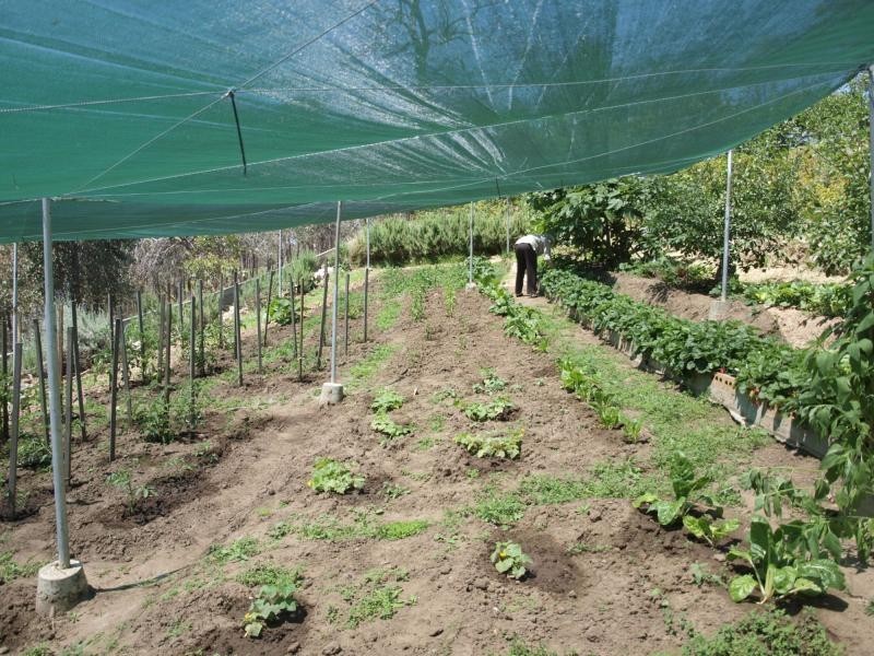 142 Stoddart Road, Heathcote VIC 3523