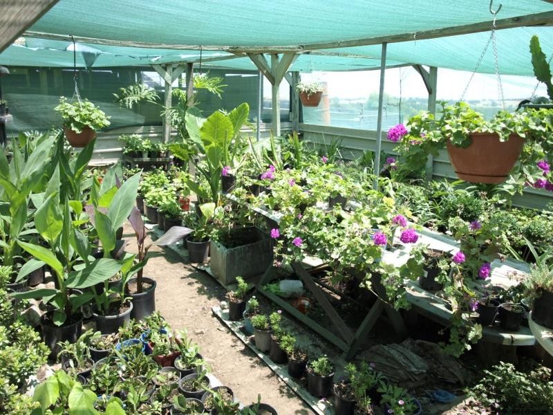 142 Stoddart Road, Heathcote VIC 3523