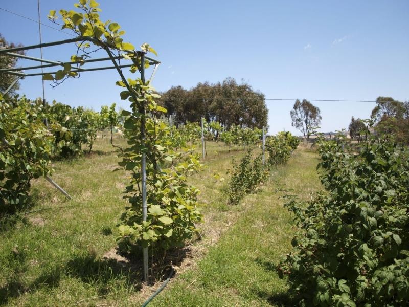 142 Stoddart Road, Heathcote VIC 3523