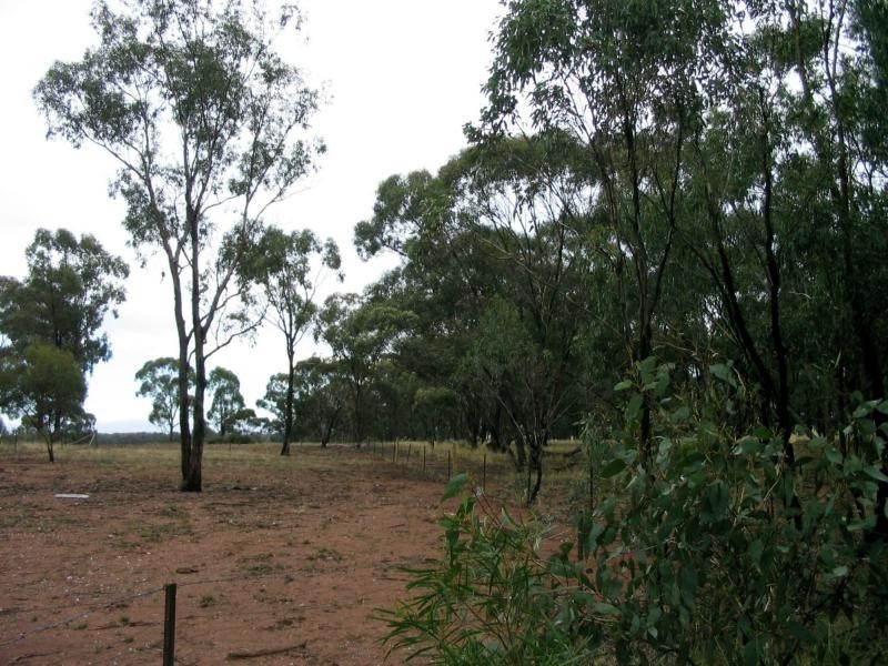25 Munro Road, Neilborough VIC 3570