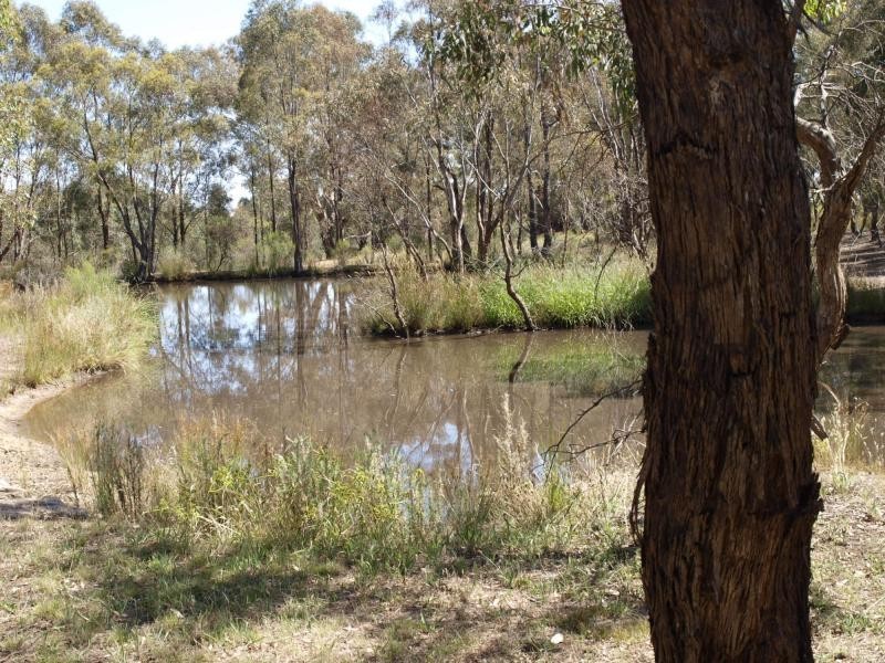 365 Warrowitue Forest Road, Heathcote VIC 3523