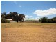 Kangaroo Flat VIC 3555