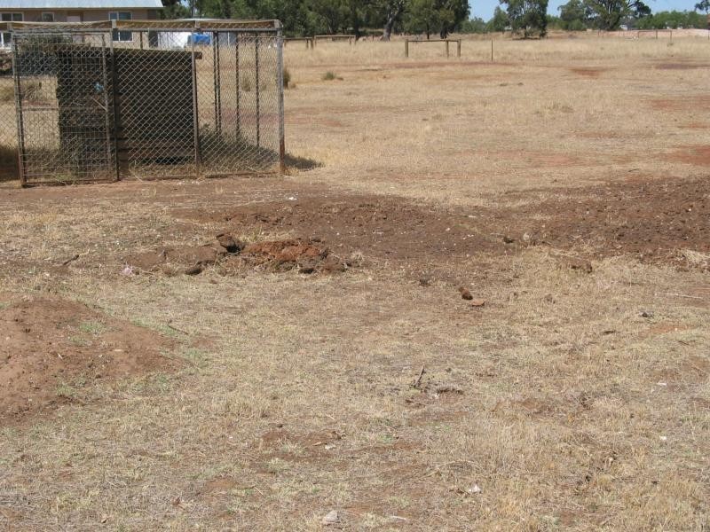 57 Faraday Street, Neilborough VIC 3570