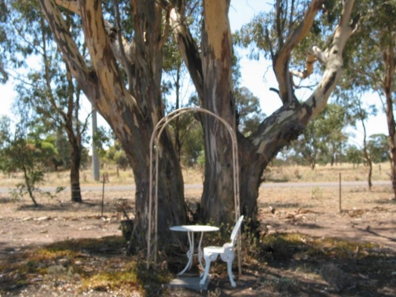 57 Faraday Street, Neilborough VIC 3570